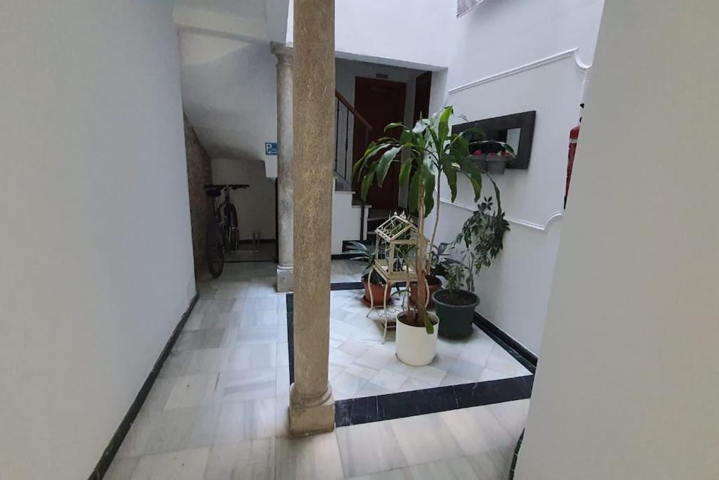Ferienwohnung Aloja T Elvira Granada Exterior foto